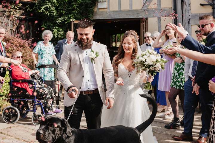 confetti run with bride and groom and their black dog